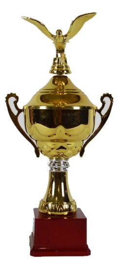 Imagen de Copa Trofeo Premiacion 45 Cm Deportes  Amarillo