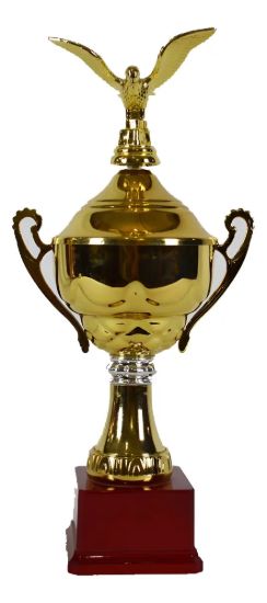 Imagen de Copa Trofeo Deportes 37 Cm Premiacion  Amarillo