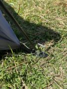 Imagen de Carpa 2x2mts Carpa4 Personas Excelente Calidad Azul Y Naranja