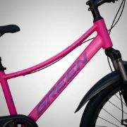 Imagen de Bicicleta Mtb R24 Dama C/suspensión Y Freno De Disco Rosa