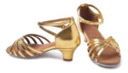 Imagen de Zapato De Baile Salsa Bachata Tango