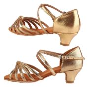 Imagen de Zapato De Baile Salsa Bachata Tango