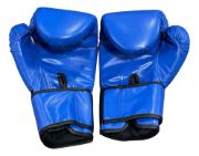 Imagen de Guantes De Boxeo Top Fight