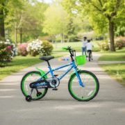 Imagen de Bicicleta Rodado 20 Green