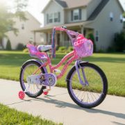 Imagen de Bicicleta Rodado 20 Princesa