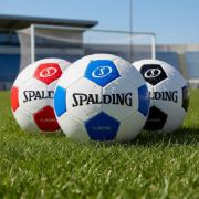 Imagen de Pelota Futbol Spalding Profesional Numero 5 Classic Blanco/negro