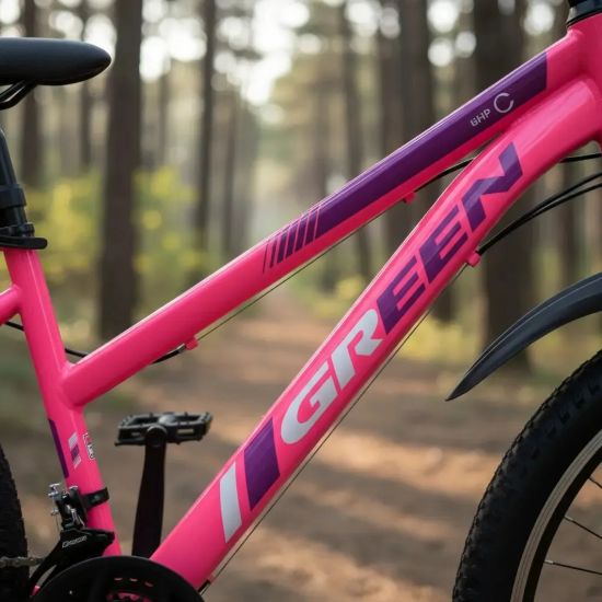 Imagen de Bicicleta Mujer MTB R26 De Acero Green