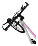 Imagen de Bicicleta Mtb Rodado 24 Freno Disco Mountain Bike