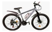 Imagen de Bicicleta Mtb Bianoi R26 21 Velocidades Con Accesorios Gris M