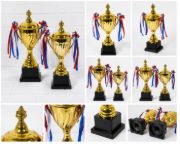 Imagen de Copa Trofeo De Campeon 29cm Altura