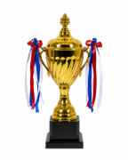 Imagen de Copa Trofeo De Campeón 33cm Altura